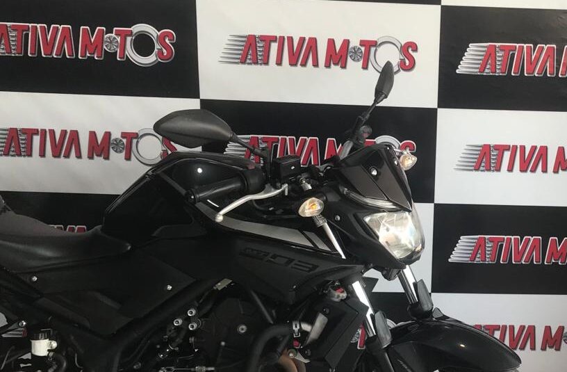 MT 03