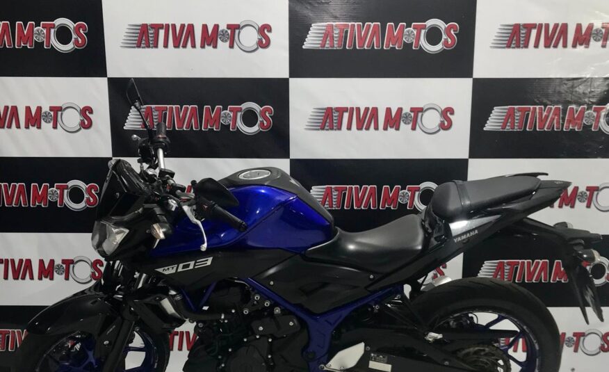 MT 03