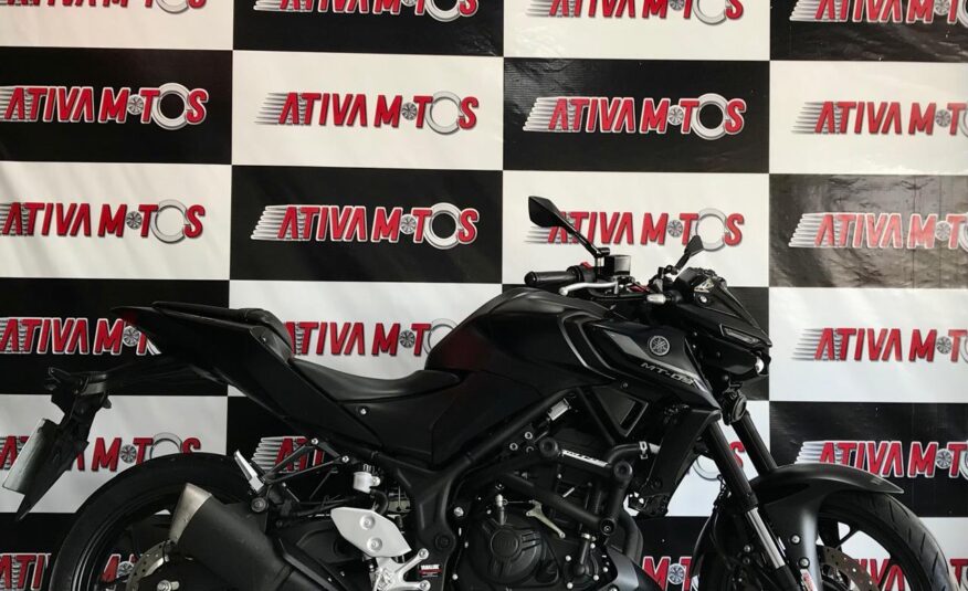 MT 03