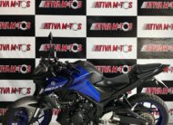 MT 03