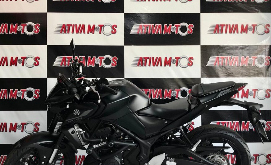 MT 03